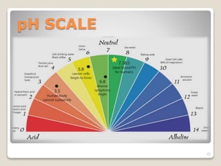 pH SCALE 
25 
 