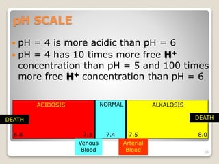 pH SCALE 
 pH = 4 is more acidic than pH = 6 
 pH = 4 has 10 times more free H+ 
concentration than pH = 5 and 100 times 
more free H+ concentration than pH = 6 
6.8 7.3 7.4 7.5 8.0 
28 
ACIDOSIS NORMAL ALKALOSIS 
DEATH DEATH 
Venous 
Blood 
Arterial 
Blood 
 