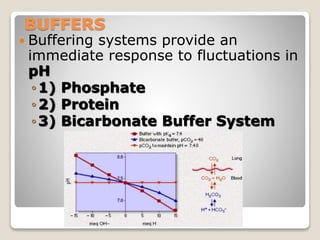 BUFFERS 
 Buffering systems provide an 
immediate response to fluctuations in 
pH 
◦1) Phosphate 
◦2) Protein 
◦3) Bicarbonate Buffer System 
41 
 