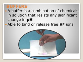 BUFFERS 
 A buffer is a combination of chemicals 
in solution that resists any significant 
change in pH 
 Able to bind or release free H+ ions 
42 
 