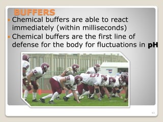 43 
BUFFERS 
 Chemical buffers are able to react 
immediately (within milliseconds) 
 Chemical buffers are the first line of 
defense for the body for fluctuations in pH 
 