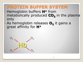 PROTEIN BUFFER SYSTEM 
 Hemoglobin buffers H+ from 
metabolically produced CO2 in the plasma 
only 
 As hemoglobin releases O2 it gains a 
great affinity for H+ 
50 
Hb 
O2 
O2 
O2 O2 
 