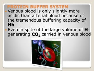PROTEIN BUFFER SYSTEM 
 Venous blood is only slightly more 
acidic than arterial blood because of 
the tremendous buffering capacity of 
Hb 
 Even in spite of the large volume of H+ 
generating CO2 carried in venous blood 
53 
 