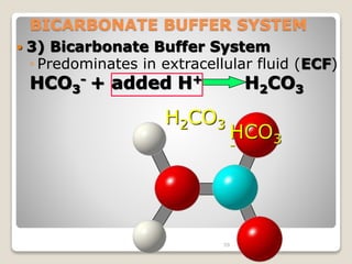 BICARBONATE BUFFER SYSTEM 
 3) Bicarbonate Buffer System 
◦ Predominates in extracellular fluid (ECF) 
HCO- + added H+ HCO3 
23 
HCO3 
- 
H2CO3 
59 
 