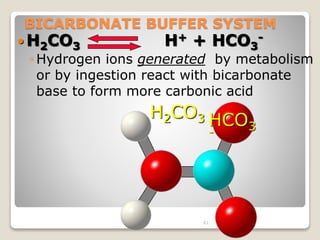 BICARBONATE BUFFER SYSTEM 
H2CO3 H+ + HCO3 
61 
- 
◦ Hydrogen ions generated by metabolism 
or by ingestion react with bicarbonate 
base to form more carbonic acid 
HCO3 
- 
H2CO3 
 