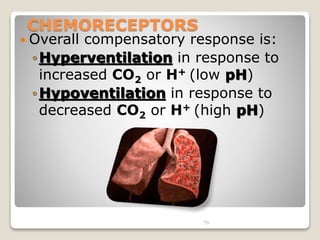 70 
CHEMORECEPTORS 
 Overall compensatory response is: 
◦Hyperventilation in response to 
increased CO2 or H+ (low pH) 
◦Hypoventilation in response to 
decreased CO2 or H+ (high pH) 
 