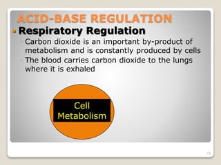 ACID-BASE REGULATION 
 Respiratory Regulation 
◦ Carbon dioxide is an important by-product of 
metabolism and is constant...