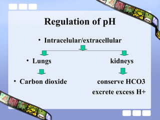 Regulation of pH
• Intracelular/extracellular
• Lungs kidneys
• Carbon dioxide conserve HCO3
excrete excess H+
 