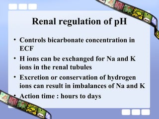Renal regulation of pH
• Controls bicarbonate concentration in
ECF
• H ions can be exchanged for Na and K
ions in the renal tubules
• Excretion or conservation of hydrogen
ions can result in imbalances of Na and K
• Action time : hours to days
 