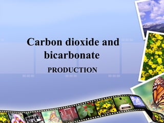 Carbon dioxide and
bicarbonate
PRODUCTION
 