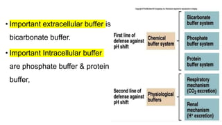 • Important extracellular buffer is
bicarbonate buffer.
• Important Intracellular buffer
are phosphate buffer & protein
buffer,
 