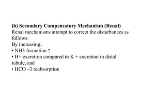 (b) Secondary Compensatory Mechanism (Renal)
Renal mechanisms attempt to correct the disturbances as
follows:
By increasing;
• NH3 formation ↑
• H+ excretion compared to K + excretion in distal
tubule, and
• HCO –3 reabsorption
 