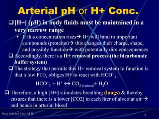 Marc Imhotep Cray, M.D.
Arterial pH or H+ Conc.
5
[H+] (pH) in body fluids must be maintained in a
very narrow range
 If this concentration rises H+ will bind to important
compounds (proteins) this changes their charge, shape,
and possibly function with potentially dire consequences
 Accordingly, there is a H+ removal process (the bicarbonate
buffer system)
 The strategy that permits this H+ removal system to function is
that a low PCO2 obliges H+ to react with HCO−
3
HCO−
3 + H+ ↔ CO2 (venous)+ H2O
 Therefore, a high [H+] stimulates breathing (lungs) & thereby
ensures that there is a lower [CO2] in each liter of alveolar air 
and hence in arterial blood
 