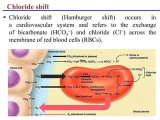 Acid base lecture | PDF