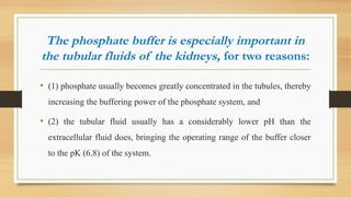 Comprehensive Overview of Acid-Base Balance and pH Regulation in the ...