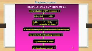 Comprehensive Overview of Acid-Base Balance and pH Regulation in the ...