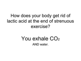 How does your body get rid of
lactic acid at the end of strenuous
exercise?
You exhale CO2
AND water.
 
