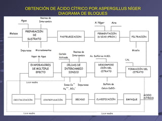 OBTENCIÓN DE ÁCIDO CÍTRICO POR ASPERGILLUS NÍGER
              DIAGRAMA DE BLOQUES
 
