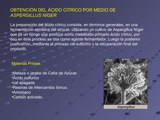 OBTENCIÓN DEL ÁCIDO CÍTRICO POR MEDIO DE
ASPERGILLUS NÍGER

La preparación del ácido cítrico consiste, en términos generales, en una
fermentación aeróbica del azúcar, utilizando un cultivo de Aspergillus Níger
que es un hongo que produce como metabolito primario ácido cítrico, por
eso en este proceso se usa como agente fermentador. Luego la posterior
purificación, mediante el proceso cal-sulfúrico y la recuperación final del
producto.


Materias Primas

•Melaza o jarabe de Caña de Azúcar.
•Ácido sulfúrico
•cal apagada
•Resinas de Intercambio Iónico.
•Amoniaco
•Carbón activado.
 