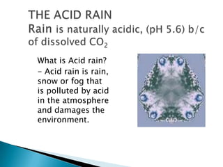 What is Acid rain?
- Acid rain is rain,
snow or fog that
is polluted by acid
in the atmosphere
and damages the
environment...