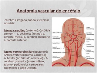 Anatomia vascular do encéfalo
cérebro é irrigado por dois sistemas
arteriais:
istema carotídeo (anterior): Carótida
comum – a. oftálmica (retina), a.
cerebral média, a. cerebral anterior e
a. coróide anterior
istema vertebrobasilar (posterior):
Artéria vertebral (ramo subclávia) –
A. basilar (artérias do cerebelo) – A.
cerebral posterior (mesenséfalo,
tálamo, pedúnculos cerebelares
superiores e Lobo Occipital
 