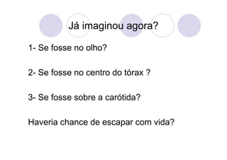 Já imaginou agora?

1- Se fosse no olho?

2- Se fosse no centro do tórax ?

3- Se fosse sobre a carótida?

Haveria chance de escapar com vida?
 