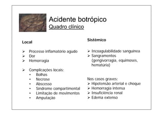 Acidente botrópico
Quadro clínico
Local
¾ Processo inflamatório agudo
¾ Dor
¾ Hemorragia
¾ Complicações locais:
• Bolhas
• Necrose
• Abscesso
• Síndrome compartimental
• Limitação de movimentos
• Amputação
Sistêmico
¾ Incoagulabilidade sanguínea
¾ Sangramentos
(gengivorragia, equimoses,
hematúria)
Nos casos graves:
¾ Hipotensão arterial e choque
¾ Hemorragia intensa
¾ Insuficiência renal
¾ Edema extenso
 