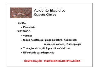 Acidente Elapídico
Quadro Clínico
• LOCAL
9 Parestesia
•SISTÊMICO
9 vômitos
9 facies miastênica : ptose palpebral, flacidez dos
músculos da face, oftalmoplegia
9 Turvação visual, diplopia, miose/midríase
9 Dificuldade para deglutição
COMPLICAÇÃO : INSUFICIÊNCIA RESPIRATÓRIA
 