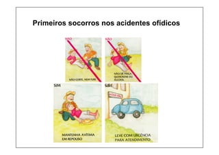 Primeiros socorros nos acidentes ofídicos
 