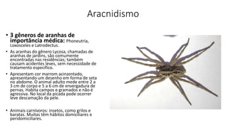 Aracnidismo
• 3 gêneros de aranhas de
importância médica: Phoneutria,
Loxosceles e Latrodectus.
• As aranhas do gênero Lycosa, chamadas de
aranhas de jardins, são comumente
encontradas nas residências; também
causam acidentes leves, sem necessidade de
tratamento específico.
• Apresentam cor marrom acinzentado,
apresentando um desenho em forma de seta
no abdome. O animal adulto mede entre 2 a
3 cm de corpo e 5 a 6 cm de envergadura de
pernas. Habita campos e gramados e não é
agressiva. No local da picada pode ocorrer
leve descamação da pele.
• Animais carnívoros: insetos, como grilos e
baratas. Muitas têm hábitos domiciliares e
peridomiciliares.
 