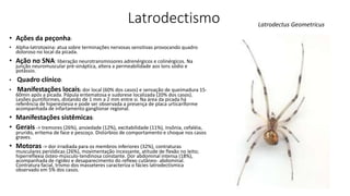 Latrodectismo
• Ações da peçonha:
• Alpha-latrotoxina: atua sobre terminações nervosas sensitivas provocando quadro
doloroso no local da picada.
• Ação no SNA: liberação neurotransmissores adrenérgicos e colinérgicos. Na
junção neuromuscular pré-sináptica, altera a permeabilidade aos íons sódio e
potássio.
• Quadro clínico:
• Manifestações locais: dor local (60% dos casos) e sensação de queimadura 15-
60min após a picada. Pápula eritematosa e sudorese localizada (20% dos casos).
Lesões puntiformes, distando de 1 mm a 2 mm entre si. Na área da picada há
referência de hiperestesia e pode ser observada a presença de placa urticariforme
acompanhada de infartamento ganglionar regional.
• Manifestações sistêmicas:
• Gerais -> tremores (26%), ansiedade (12%), excitabilidade (11%), insônia, cefaléia,
prurido, eritema de face e pescoço. Distúrbios de comportamento e choque nos casos
graves.
• Motoras -> dor irradiada para os membros inferiores (32%), contraturas
musculares periódicas (26%), movimentação incessante, atitude de flexão no leito;
hiperreflexia ósteo-músculo-tendinosa constante. Dor abdominal intensa (18%),
acompanhada de rigidez e desaparecimento do reflexo cutâneo- abdominal.
Contratura facial, trismo dos masseteres caracteriza o fácies latrodectísmica
observado em 5% dos casos.
Latrodectus Geometricus
 