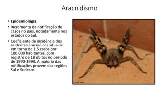 Aracnidismo
• Epidemiologia:
• Incremento da notificação de
casos no país, notadamente nos
estados do Sul.
• Coeficiente de incidência dos
acidentes aracnídicos situa-se
em torno de 1,5 casos por
100.000 habitantes, com
registro de 18 óbitos no período
de 1990-1993. A maioria das
notificações provem das regiões
Sul e Sudeste.
 