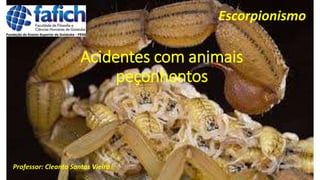 Acidentes com animais
peçonhentos
Professor: Cleanto Santos Vieira
Escorpionismo
 