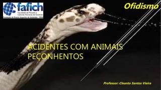 ACIDENTES COM ANIMAIS
PEÇONHENTOS
Professor: Cleanto Santos Vieira
Ofidismo
 