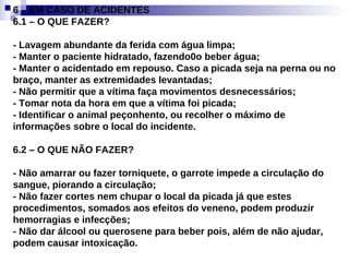 6 – EM CASO DE ACIDENTES 6.1 – O QUE FAZER? - Lavagem abundante da ferida com água limpa; - Manter o paciente hidratado, fazendo0o beber água; - Manter o acidentado em repouso. Caso a picada seja na perna ou no braço, manter as extremidades levantadas; - Não permitir que a vítima faça movimentos desnecessários; - Tomar nota da hora em que a vítima foi picada; - Identificar o animal peçonhento, ou recolher o máximo de informações sobre o local do incidente. 6.2 – O QUE NÃO FAZER? - Não amarrar ou fazer torniquete, o garrote impede a circulação do sangue, piorando a circulação; - Não fazer cortes nem chupar o local da picada já que estes procedimentos, somados aos efeitos do veneno, podem produzir hemorragias e infecções; - Não dar álcool ou querosene para beber pois, além de não ajudar, podem causar intoxicação. 