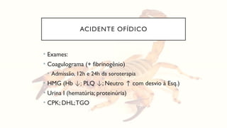 ACIDENTE OFÍDICO
• Exames:
• Coagulograma (+ fibrinogênio)
• Admissão, 12h e 24h da soroterapia
• HMG (Hb ↓; PLQ ↓; Neutro ↑ com desvio à Esq.)
• Urina I (hematúria; proteinúria)
• CPK; DHL;TGO
 
