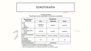 SOROTERAPIA
 