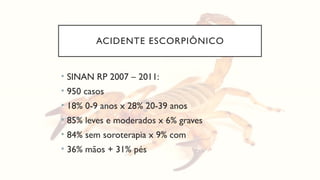 ACIDENTE ESCORPIÔNICO
• SINAN RP 2007 – 2011:
• 950 casos
• 18% 0-9 anos x 28% 20-39 anos
• 85% leves e moderados x 6% graves
• 84% sem soroterapia x 9% com
• 36% mãos + 31% pés
 