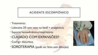ACIDENTE ESCORPIÔNICO
• Tratamento:
• Lidocaína 2% sem vaso no local + analgésicos
• Suporte hemodinâmico/respiratório
• CUIDADO COM EXPANSÕES!!
• Corrigir distúrbios
• SOROTERAPIA (pode ser feito sem diluição)
 