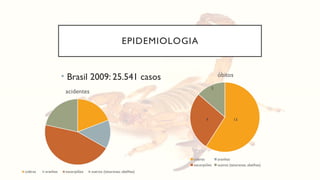 EPIDEMIOLOGIA
• Brasil 2009: 25.541 casos
13
6
3
óbitos
cobras aranhas
escorpiões outros (taturanas; abelhas)
 