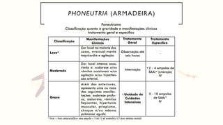 PHONEUTRIA (ARMADEIRA)
 