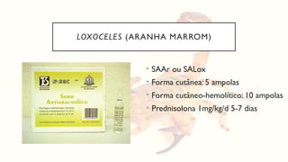 LOXOCELES (ARANHA MARROM)
• SAAr ou SALox
• Forma cutânea: 5 ampolas
• Forma cutâneo-hemolítico: 10 ampolas
• Prednisolona 1mg/kg/d 5-7 dias
 