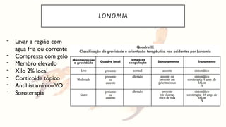 LONOMIA
- Lavar a região com
agua fria ou corrente
- Compressa com gelo
- Membro elevado
- Xilo 2% local
- Corticoide tópico
- AntihistamínicoVO
- Soroterapia
 