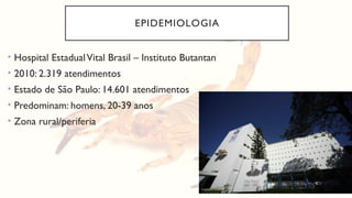 EPIDEMIOLOGIA
• Hospital EstadualVital Brasil – Instituto Butantan
• 2010: 2.319 atendimentos
• Estado de São Paulo: 14.601 atendimentos
• Predominam: homens, 20-39 anos
• Zona rural/periferia
 