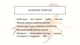 ACIDENTE OFÍDICO
• Lesão local  dor e edema  bolhas  necrose
• Náuseas; vômitos; sudorese; diarreia
• Hemorragias locais e sistêmicas (CIVD like)
• Neurotoxicidade: paralisia motora
• Miotoxina  rabdomiólise sistêmica  enzimas
musculares + mioglobina  IRA
 