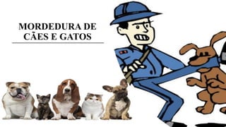 MORDEDURA DE
CÃES E GATOS
 
