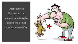 Quem convive
diretamente com
animais de estimação
está sujeito a levar
mordidas e arranhões.
 