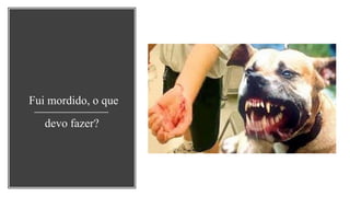 Fui mordido, o que
devo fazer?
 
