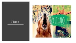 Tétano
 