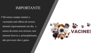 IMPORTANTE
✓Devemos sempre manter a
vacinação anti-rábica de nossos
animais rigorosamente em dia, e
nunca devemos nos arriscar com
animais bravos e, principalmente,
não provocar cães e gatos.
 